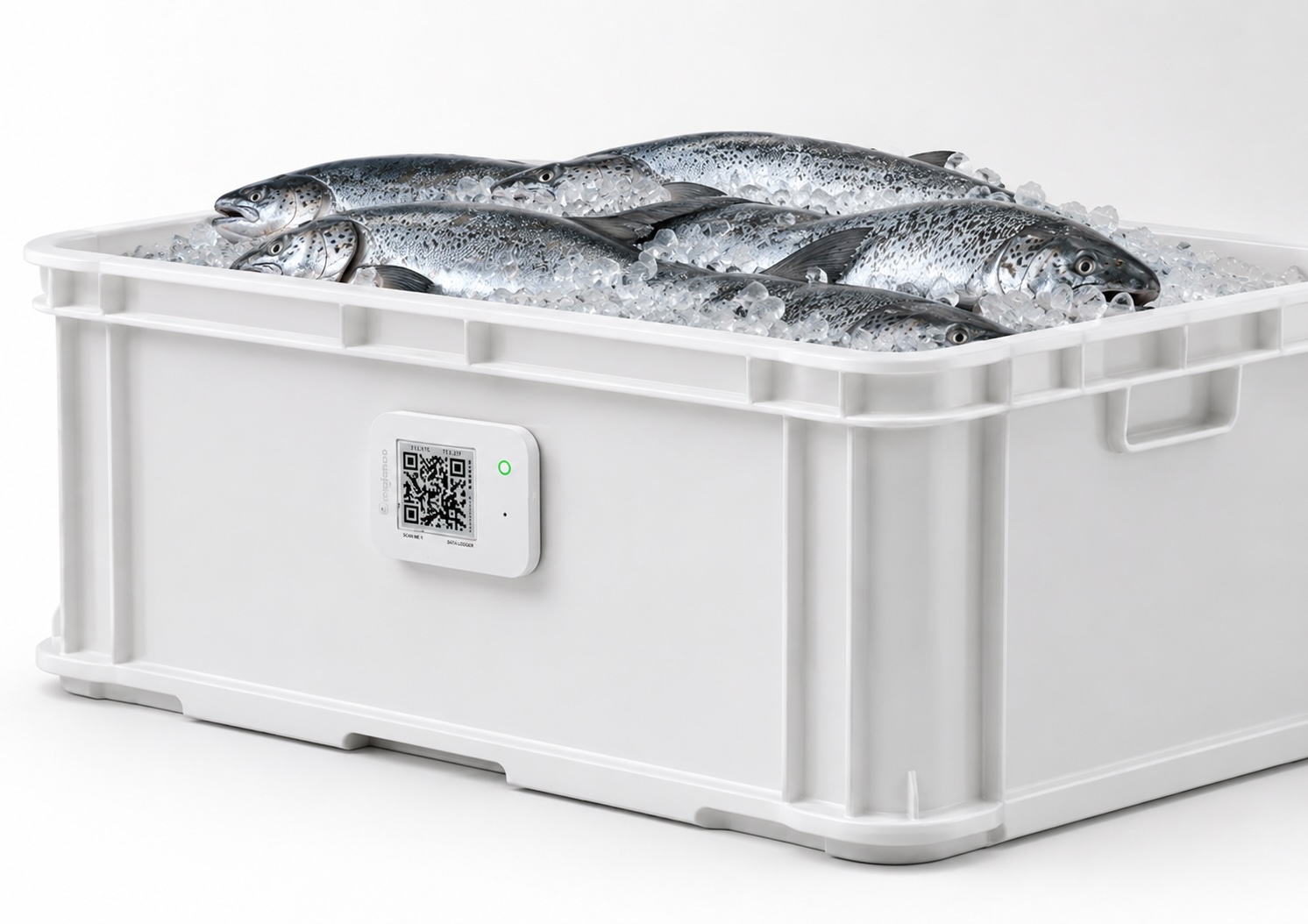 Fish packed on ice in a plastic transport box with a Logmore QR data logger